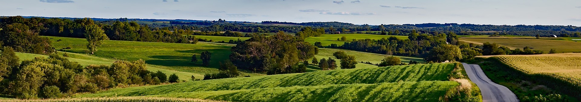 Wisconsin Banner