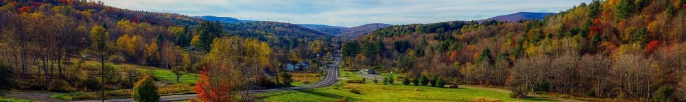 Vermont Banner