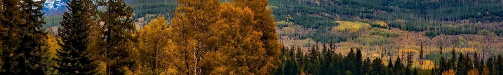 barn-colorado-colorful-221502